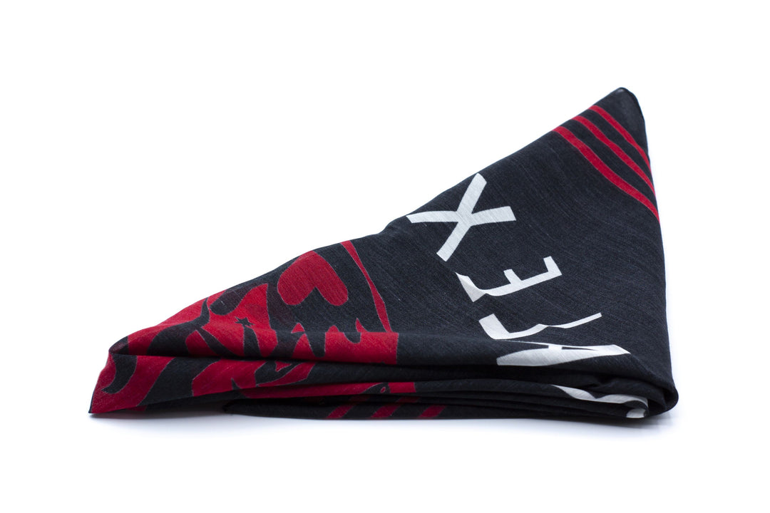 Alexander McQueen Skull Design Scarf in Black and Red, Made in Italy