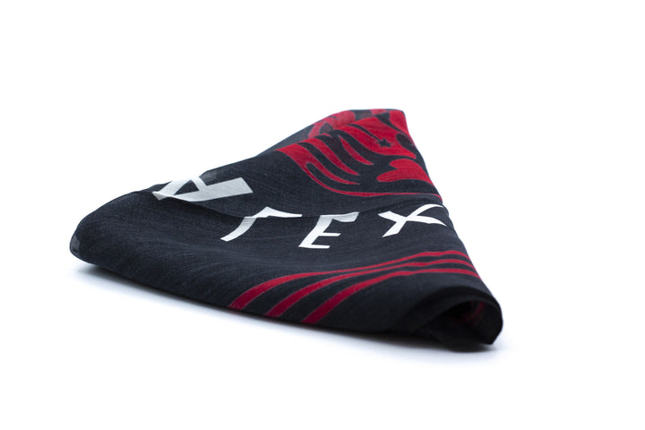 Alexander McQueen Skull Design Scarf in Black and Red, Made in Italy