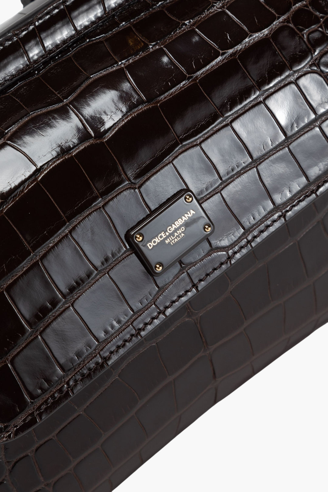 Dolce & Gabbana Brown Crocodile-Embossed Leather Bag