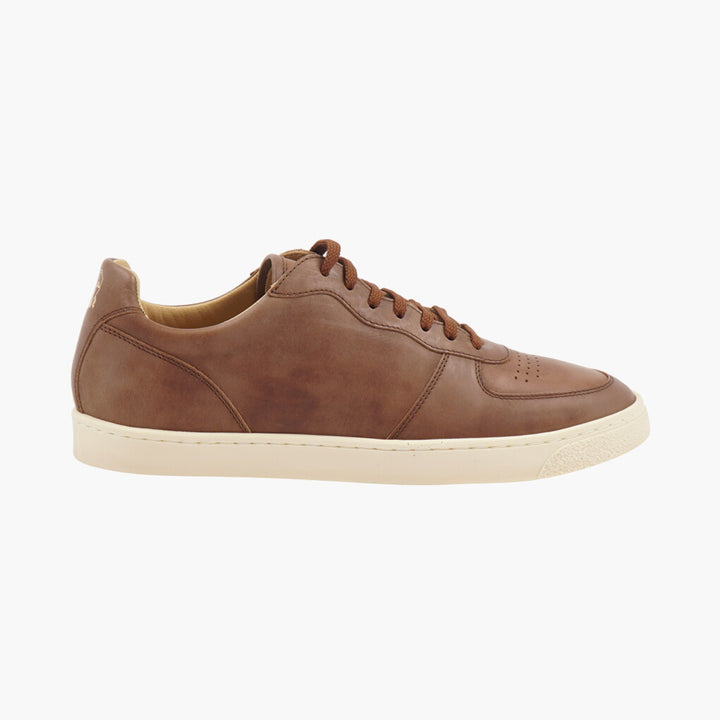 Brunello Cucinelli Dark Brown-White Sneakers - Sophisticated & Comfortable Design