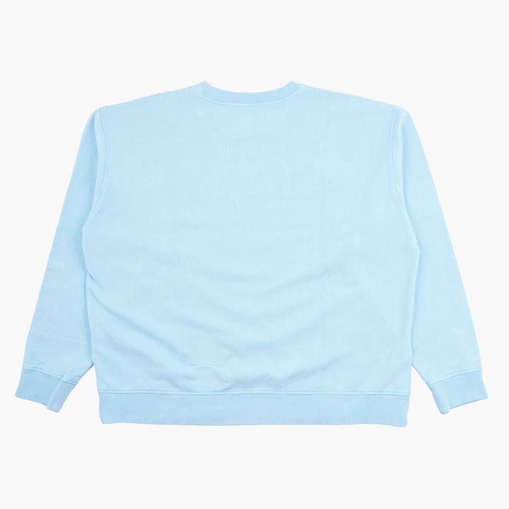 DSQUARED2 Light Blue "Master Trophy Champion" Sweatshirt